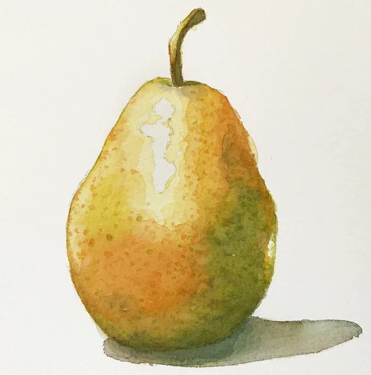 Mazzone pear. Груша акварелью Андрияка. Груша акварелью. Груша живопись акварель. Фрукты акварелью.