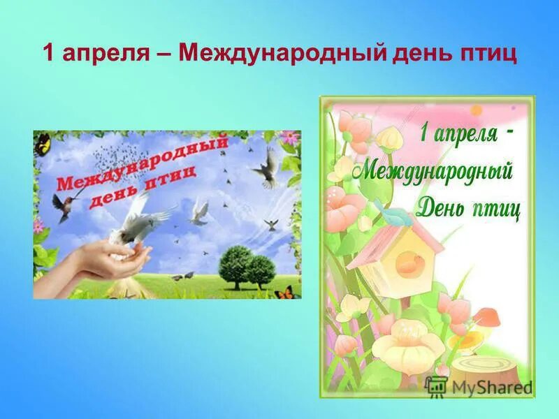 1 апреля всемирный день птиц. 1 Апреля день птиц. 1 Апреля Международный день. Стенд 1 апреля день птиц. 27 Апреля Международный день в картинках.