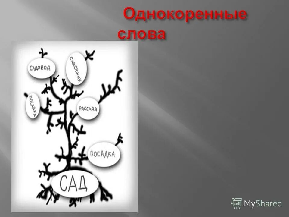 Рисунок с однокоренными словами. Словесное дерево с однокоренными словами. Дерево с однокоренными словами рисунок. Дерево с однокоренными словами дом.