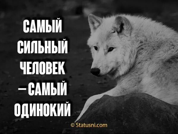 Почему одиночество выбирает самых сильных. Сильные люди одиноки. одиночество сильного человека. я одиночка. сильные люди всегда одиночки.