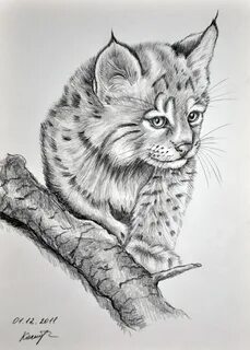 Нарисовать про животных