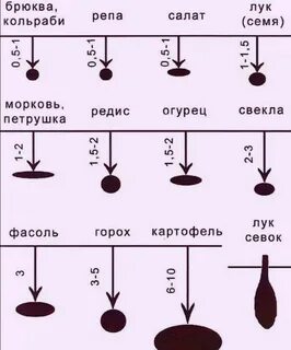 Дача таблица