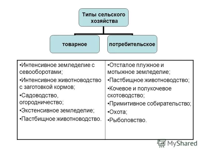 Какой тип хозяйства. Типы сельского хозяйства схема. Схема сельское хозяйство товарные потребительское. Видфы сельскуого хозя. Типы организации сельского хозяйства схема.