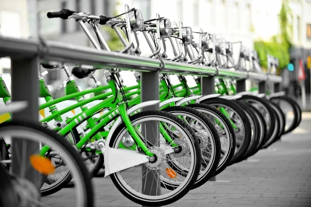 Вело сток. Велопрокат. Зеленый велосипед напрокат. Зеленый город велосипеды. Большой выбор велосипедов.