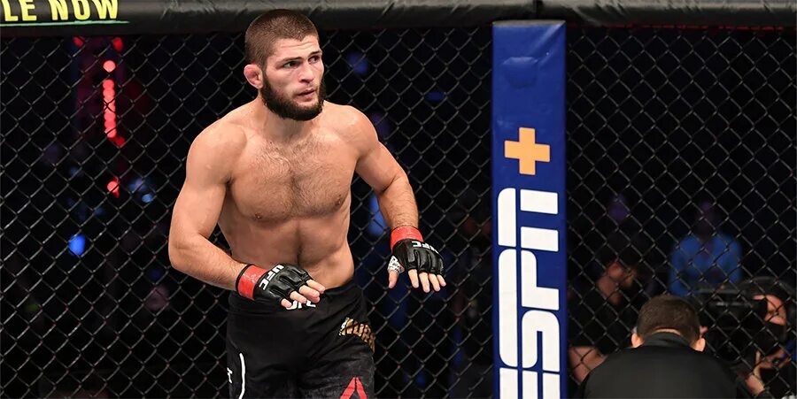 Федор емельяненко покинул. Карлос кондит. Justin springer 1 мма. Хабиб нурмагомедов чемпион ufc. Хабиб гейджи треугольник.