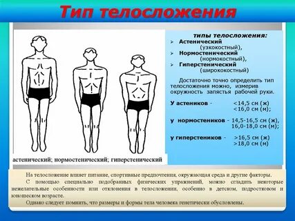 Физический тип телосложения