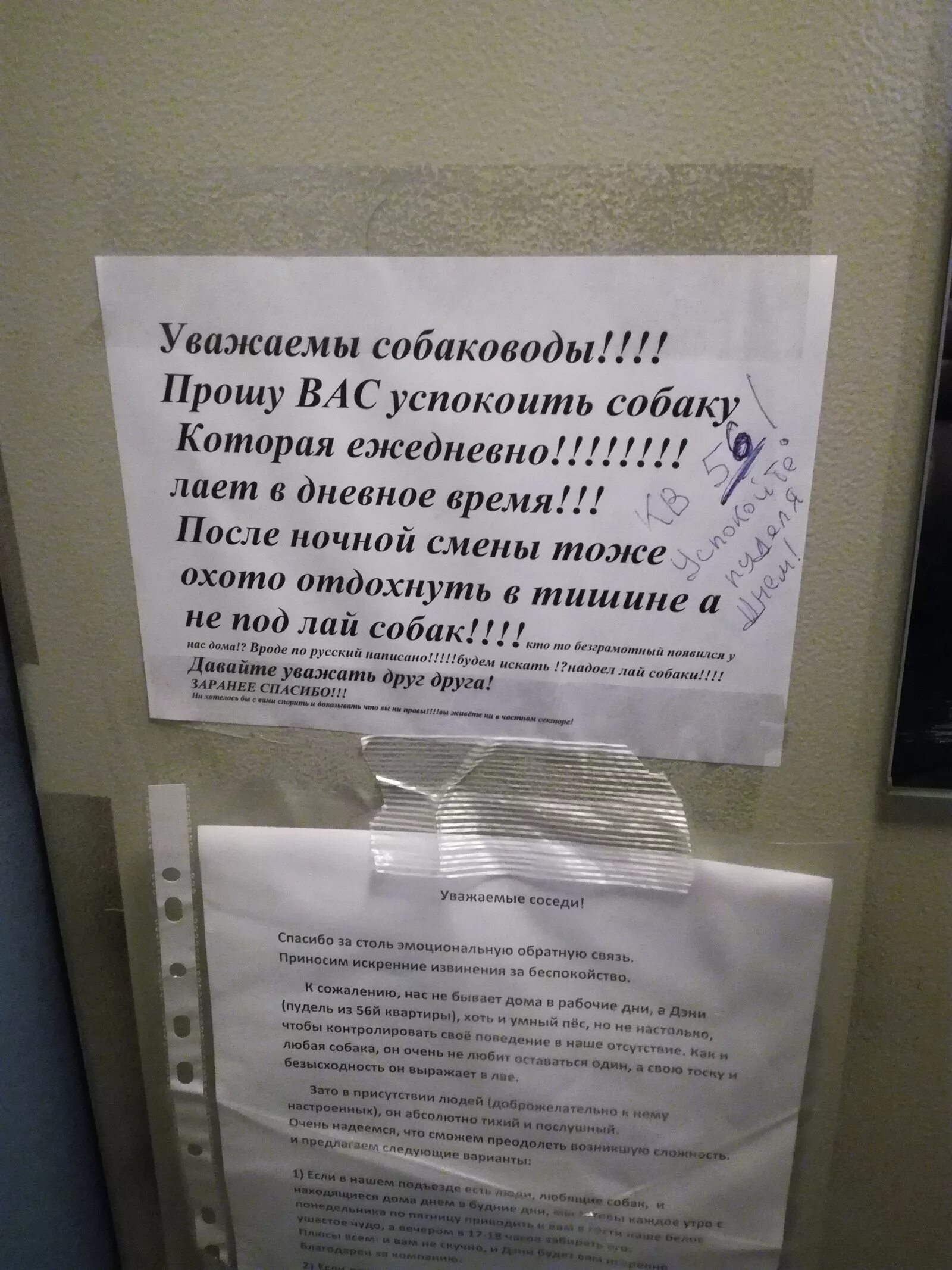 Жалоба на лай собаки в квартире. Уважаемые соседи собака лает. Жалобы соседей на лай собаки в квартире. Объявление жалоба на лай собаки.