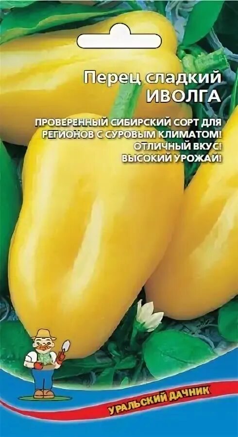 Перец иволга описание сорта фото отзывы - SadPhoto.ru