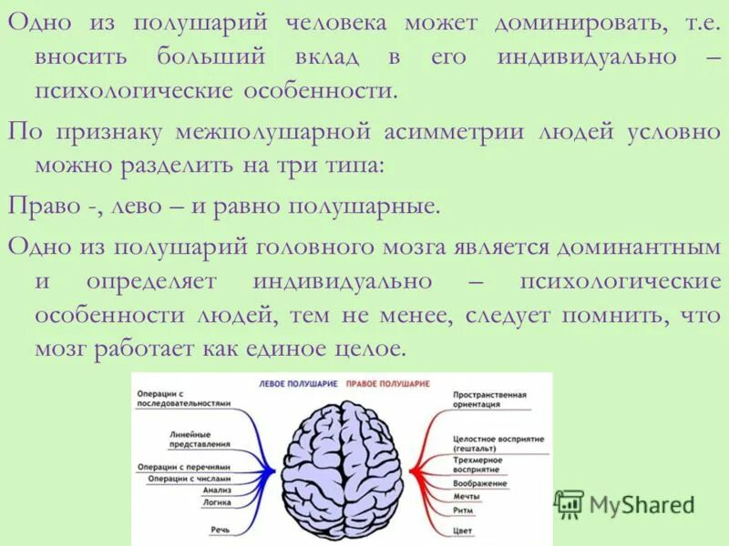 Характеристика полушарий мозга. Функциональная асимметрия правого и левого полушария мозга. Функции левого полушария головного мозга. Функции правого полушария головного мозга. Функциональная асимметрия полушарий у человека.