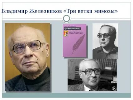 Железников три ветки мимозы