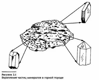 Укажите название горной породы представленной на рисунке