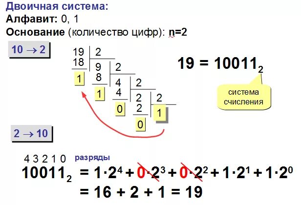10011 2 в десятичную систему счисления. Как перевести из 10 в 2 систему счисления. как переводить из 10 в 2 систему счисления. как из 10 системы перевести в 2. как перевести в 10 систему счисления.