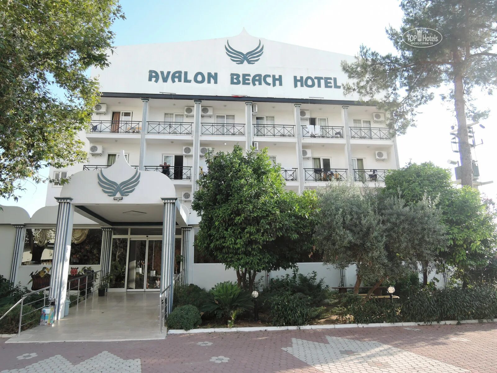 Элизиум Элит отель Сиде. Avalon-Beach-Hotel Турция. Elysium отель Турция. Elysium Elite Hotel & Spa (ex. Avalon Beach Hotel) Сиде Кызылот. Elysium elite hotel spa сиде