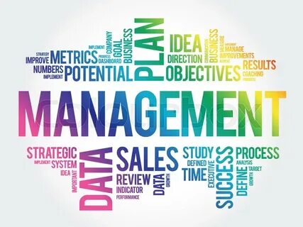 Management word