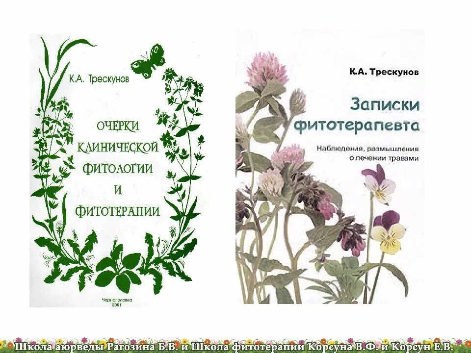 Трескунов карп абрамович книги. Трескунов фитотерапия. Фитотерапия учебник. Трескунов фитотерапия книги. Карп абрамович трескунов фитотерапевт.