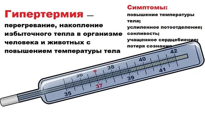 Градус температуры тела. Гипертермия. Повышение температуры тела. Гипертермия картинки. Гипертермия – это повышение температуры тела.