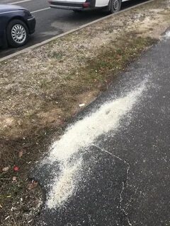Пастернак засыпало дороги