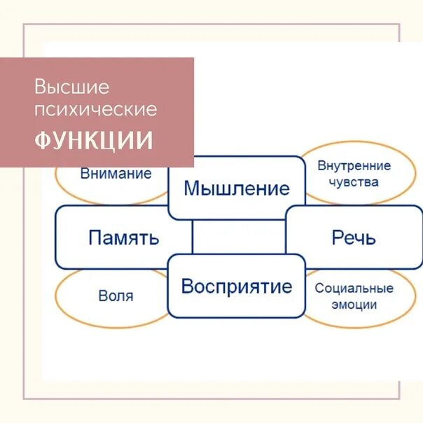 Психические функции перечислить. Высшие психологические функции по Выготскому. Высшие психические функции (ВПФ). Выготский высшие психические функции. Высшие психические функции по л.с Выготскому.