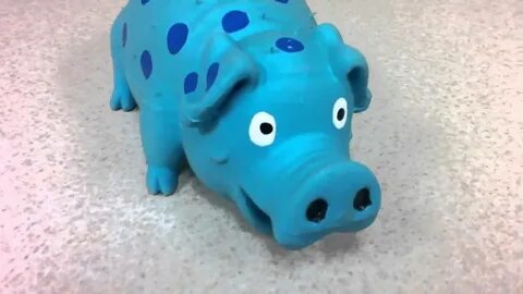 Blue pig