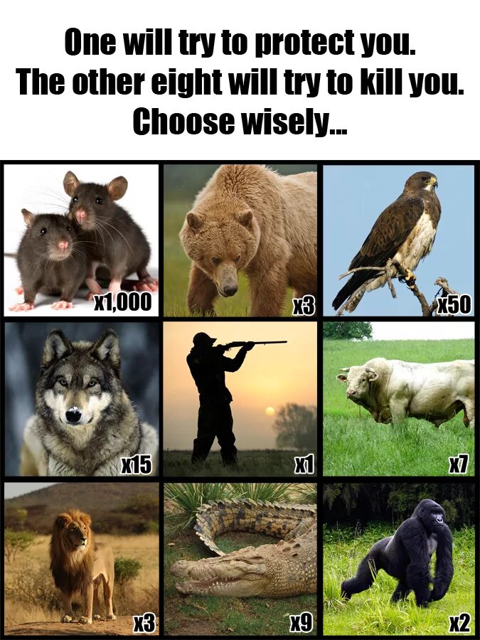 The rest the other