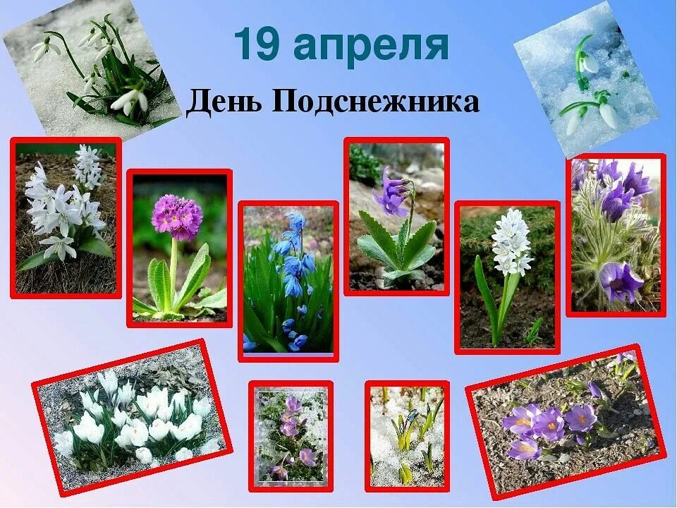 Когда будет 19 апреля