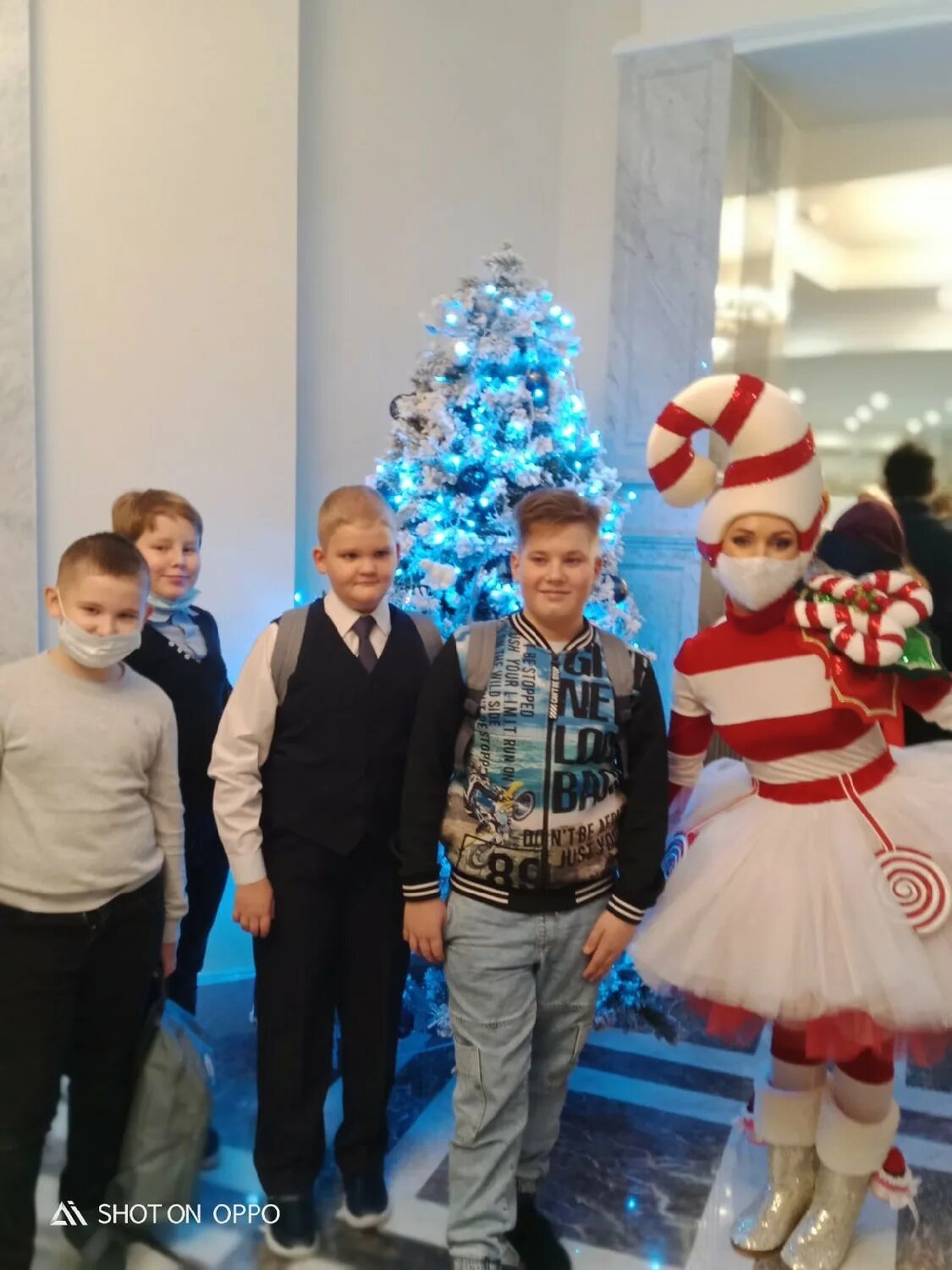 губернаторская елка мурманск фото