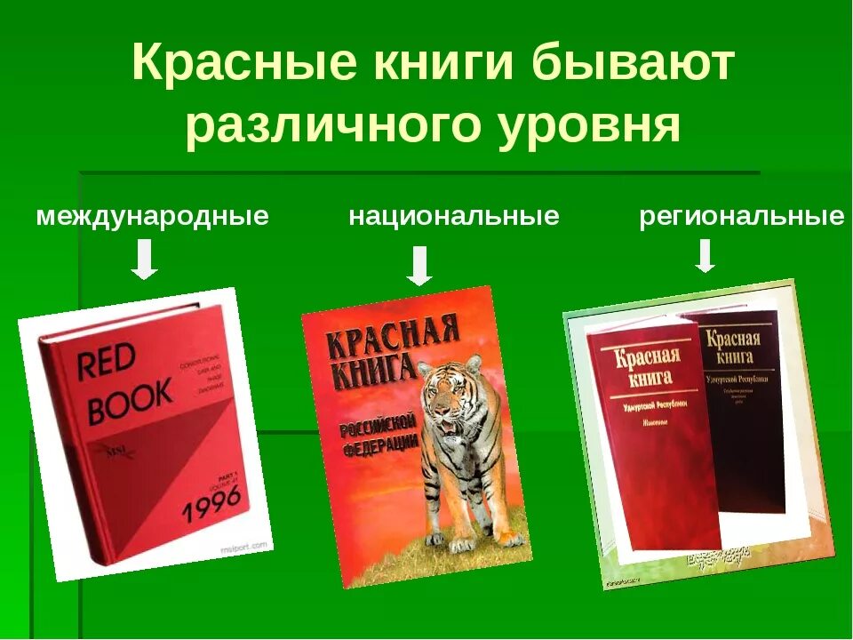 Книги похожие на красную книгу. Красная книга. Международная красная книга. Красные книги различных уровней. Международные национальные и региональные красные книги.