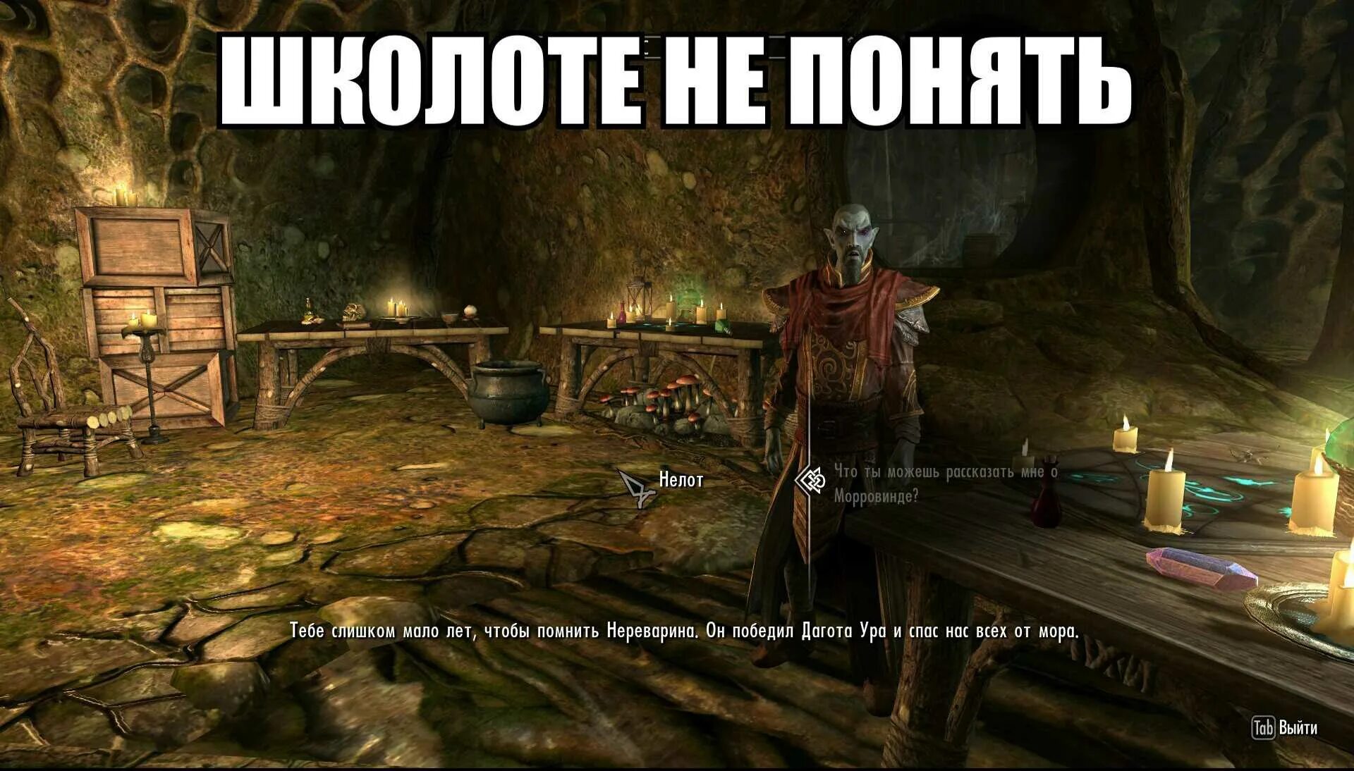 Поставь отсюда. The Elder Scrolls Нереварин. The Elder Scrolls приколы. Скайрим приколы. Морровинд приколы.