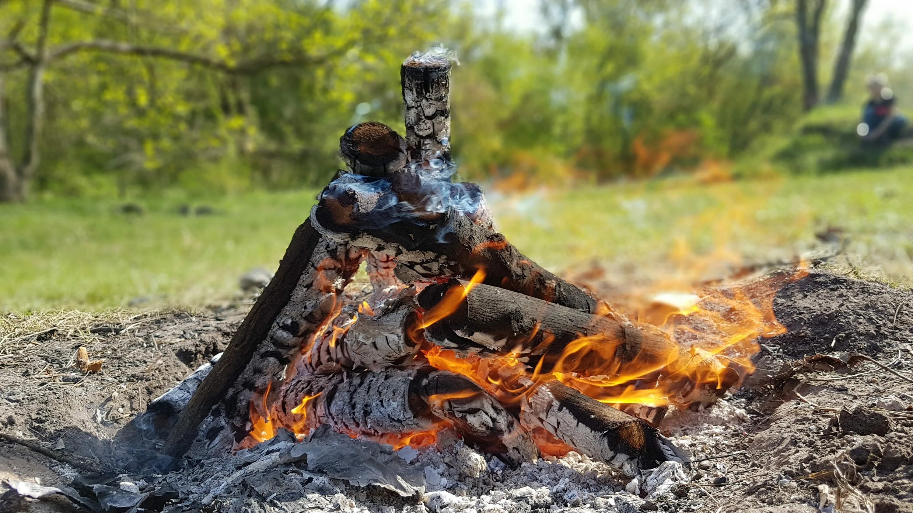 Шашлык на костре. Шашлык на костре в лесу. Пожар шашлык на природе. Шашлык на огне на природе. Костер готов