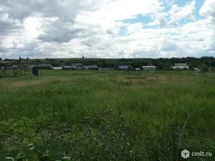 Погода воронежская девица