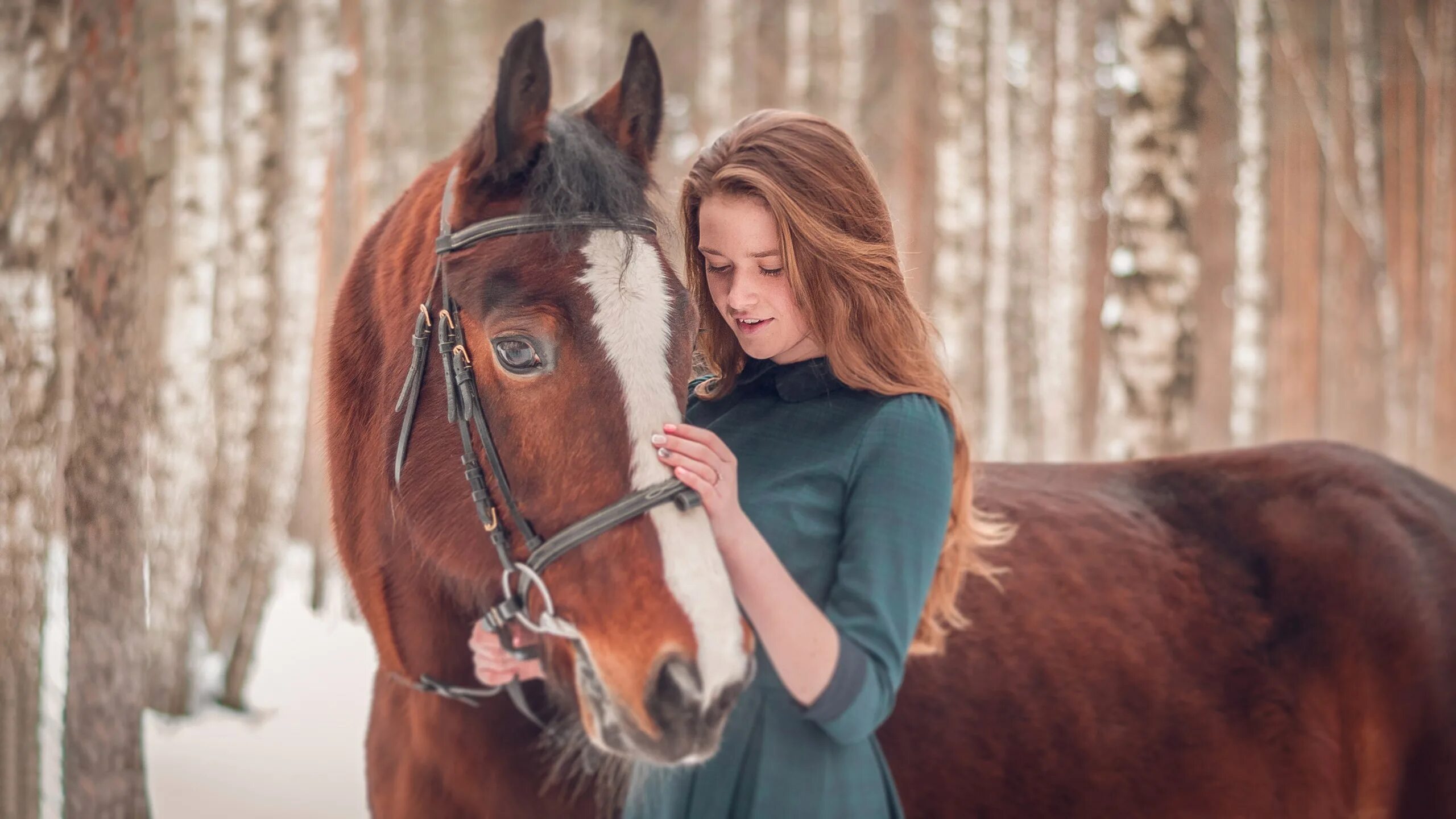 Фотосессия с лошадьми. Фотосессия с лошадью зимой. Фотосессия с лошадьми образы зимой. Женщина на лошади.