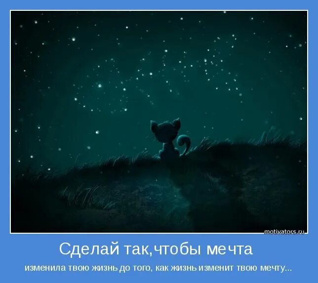 Вся суть видов