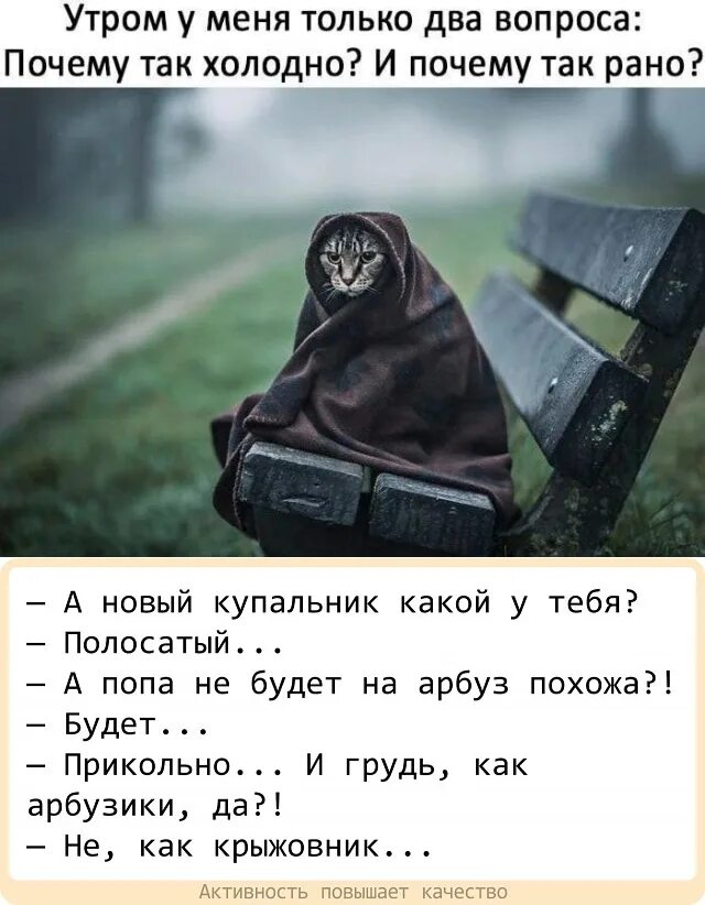 Остался вопрос почему она. Утром у меня только два вопроса. Почему так рано и почему так холодно. Что так холодно. Утром у меня только два вопроса почему так холодно и почему так рано.