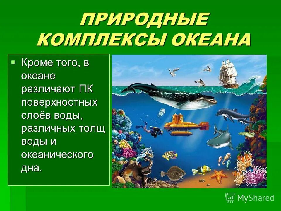 Природные компоненты суши. Природные комплексы океана. Природные комплексы суши и океана. Компоненты природных комплексов океана. Что такое зональные природные комплексы в океане.