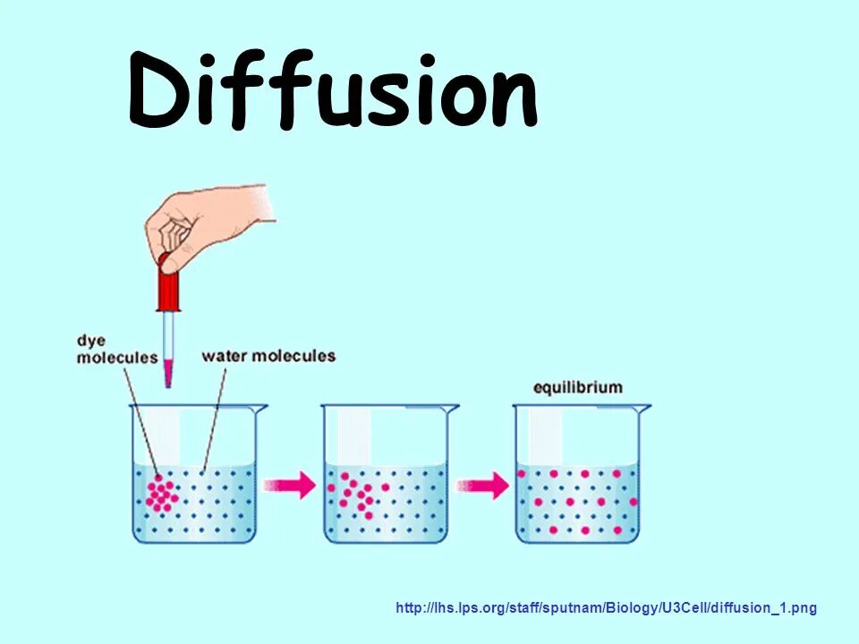 Diffusion download. Diffusion. diffusion бренд. метод растрированияkf difusion. стабле диффузион.