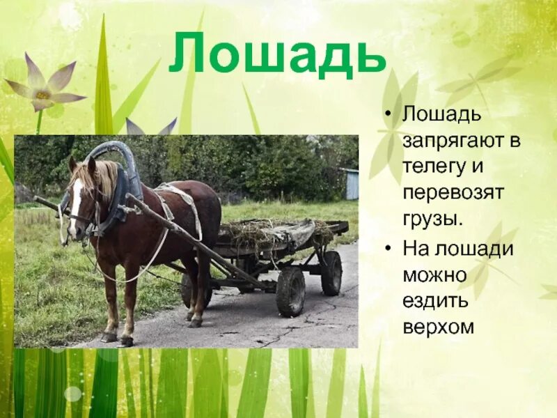 Как сделать сообщение в телеге
