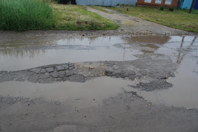 Прогноз федоровском