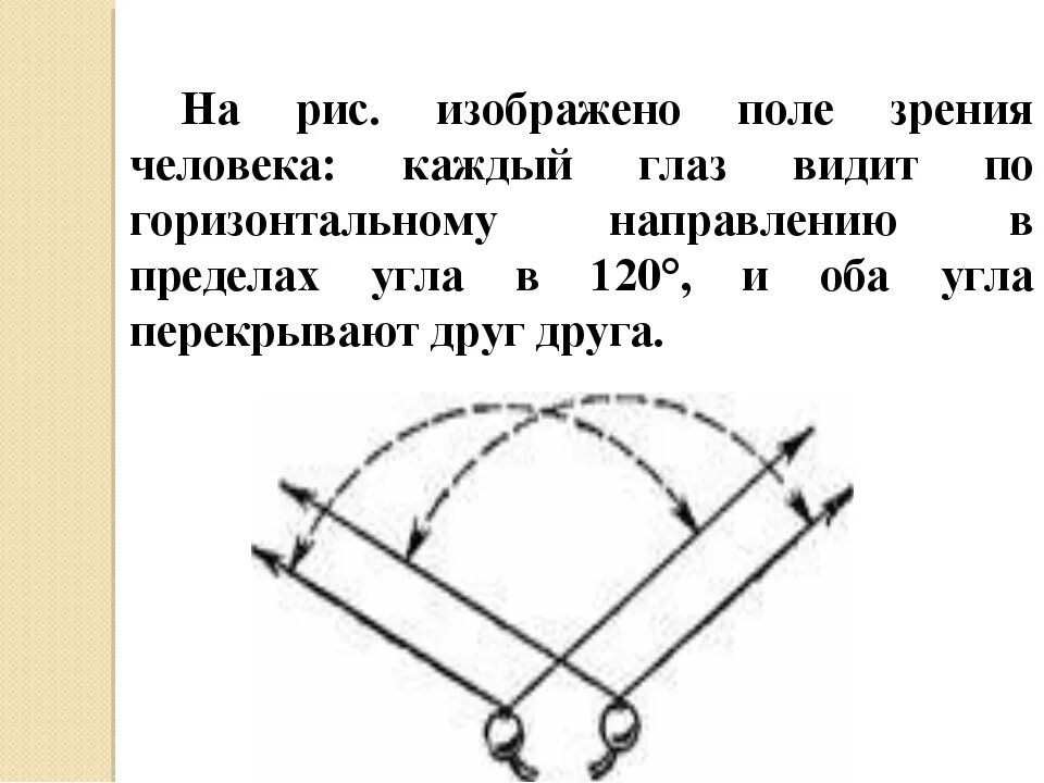 Сколько градусов видит глаз. Угол зрения человека. угол зрения человеческого глаза. угол зрения человека по вертикали. угол обзора человеческого глаза.