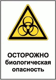 Инфекционные опасности