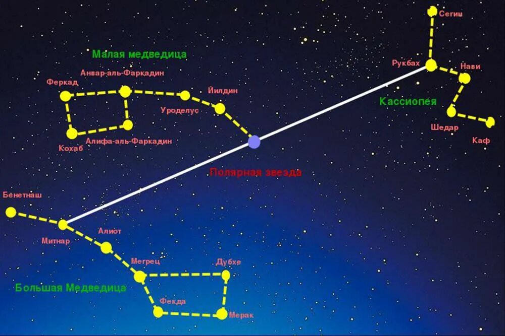 Наименьшее по площади созвездие. Созвездие Кассиопея и большая Медведица. Большая и малая Медведица Кассиопея Созвездие. Созвездие полярной звезды медведицы и Кассиопеи. Созвездие Кассиопея относительно полярной звезды.