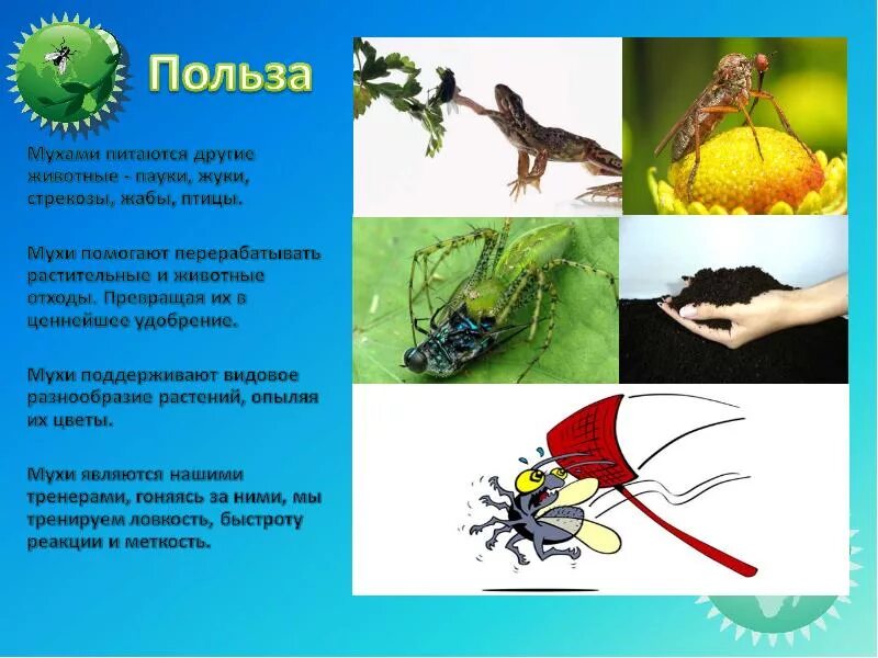 Какую пользу несет