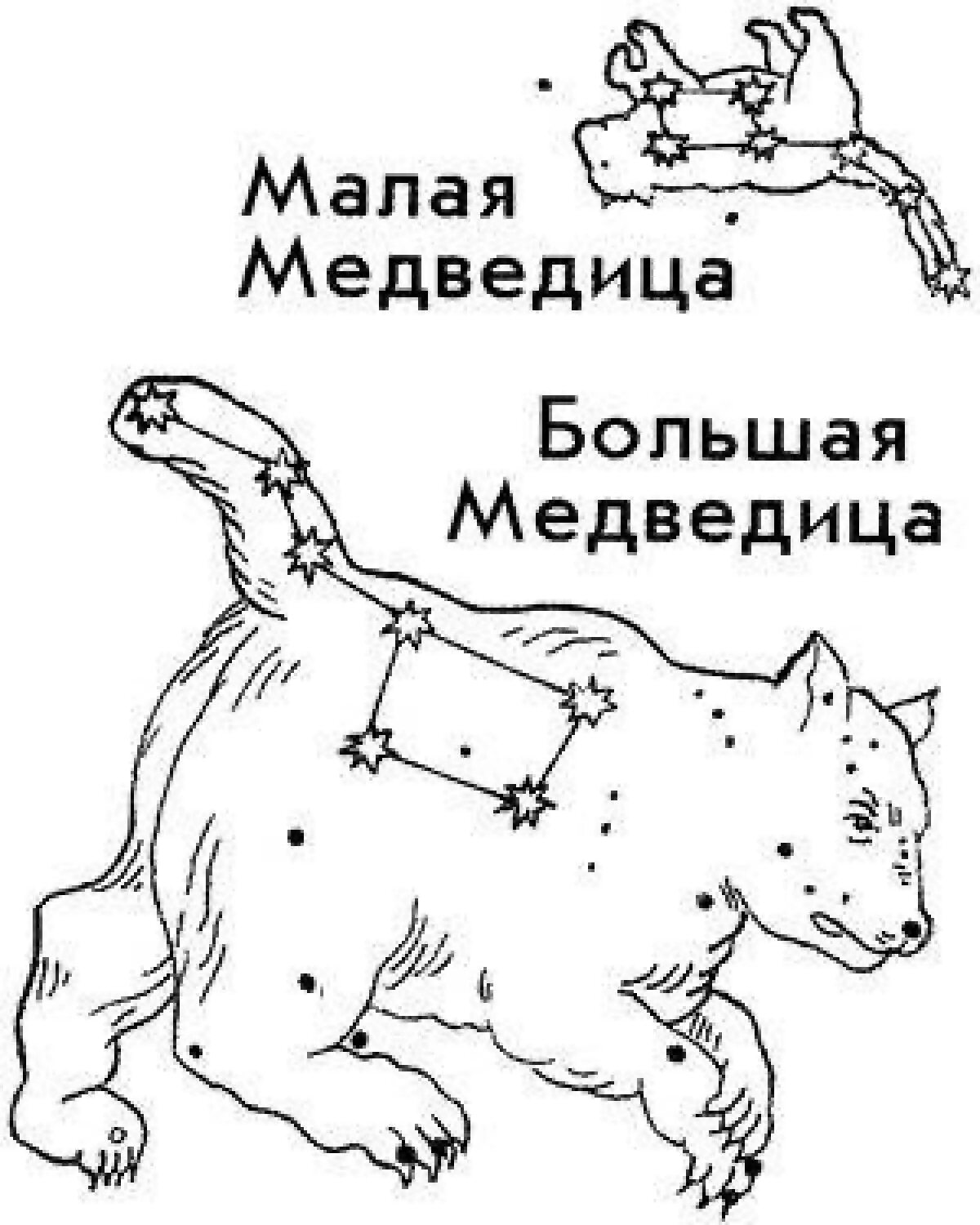 Созвездие малой медведицы рисунок. Раскраска созвездия большая и малая Медведица. Малая Медведица Созвездие схема. Созвездие большой медведицы раскраска. Раскраска созвездия