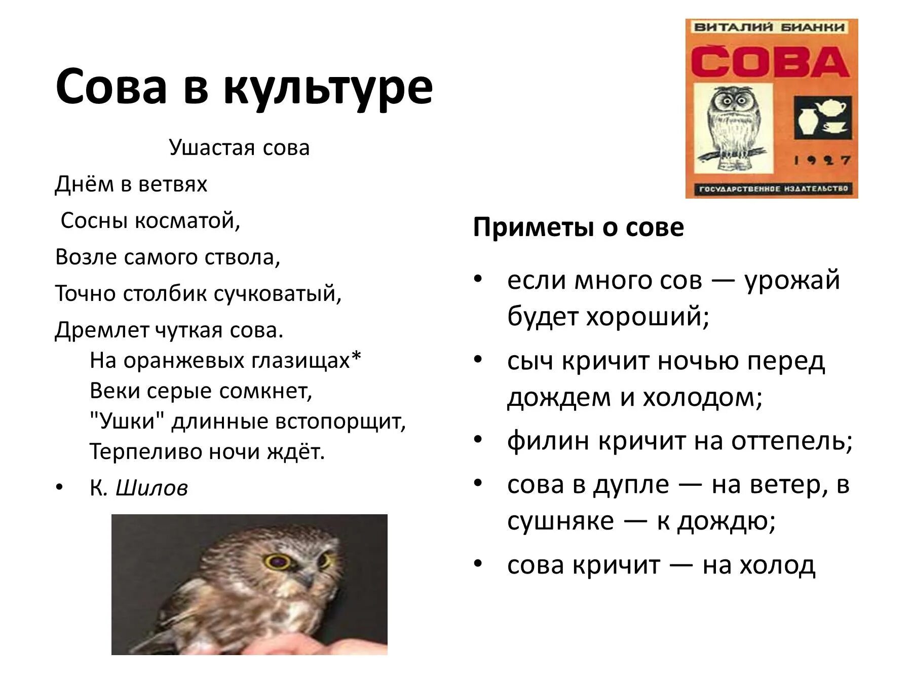 Приметы о Филине. Сова приметы. Поговорки про сову. Стих про сову. Что значит совы не спят