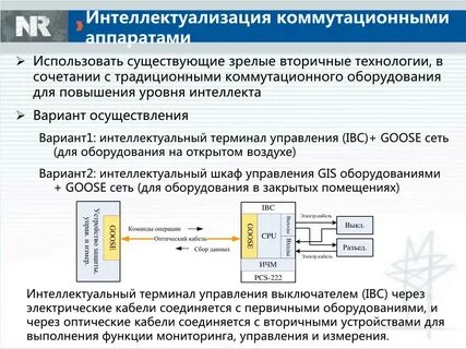 Включения первичные