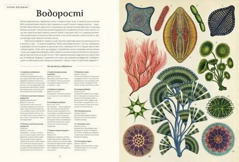 Ботаникум