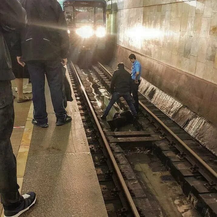 Чп на станции метро бабушкинская. Перебравший пассажир свалился на пути. Мужчина упал на пути. Мужчина упал на пути. Мужчина упал в московском метро.