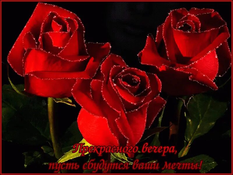 Rose gif box net