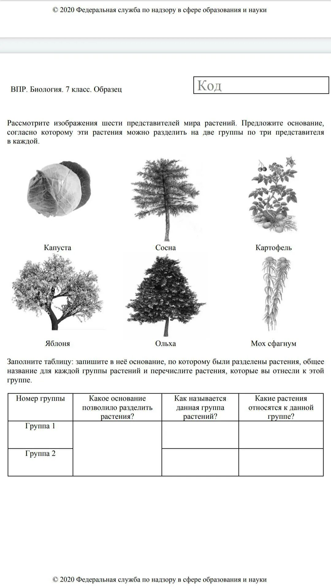 ВПР по растениям 7 класс. ВПР по биологии 2021 год. ВПР по биологии 7 класс 2022 с ответами 1 вариант. ВПР по биологии 7 класс 2021.