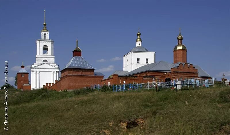 Свято дмитриевский мужской монастырь рязанская область. Дмитриевский монастырь в рязанской области. Дмитриево-ряжский мужской монастырь. Димитриевский монастырь скопин. Скопинский димитриевский монастырь.