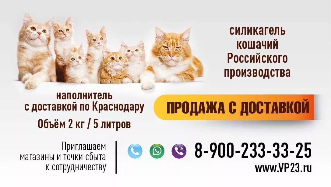 Купить кошку в тольятти